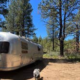 Review photo of Deschutes National Forest Dispersed Camping Spot - PERMANENTLY CLOSED by Katie , June 21, 2022