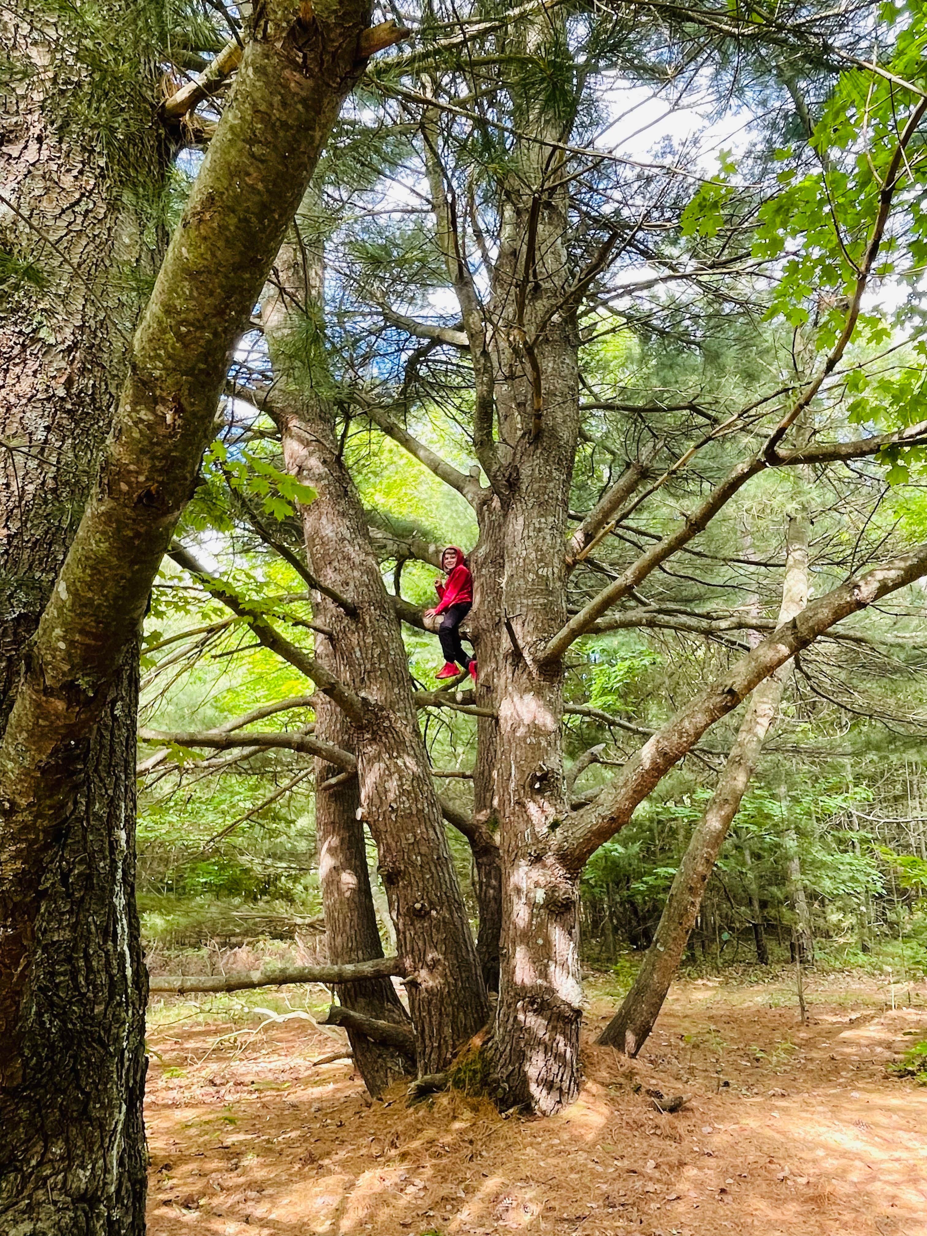 Camper-submitted photo at Empire Township Campground near Empire, MI
