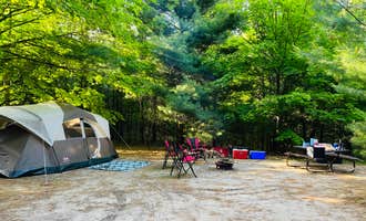 Camping near White Pine Backcountry Camp — Sleeping Bear Dunes National Lakeshore: Empire Township Campground, Empire, Michigan