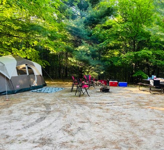 Camper-submitted photo from Empire Township Campground