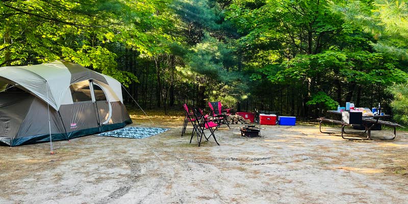Camper submitted image from Empire Township Campground