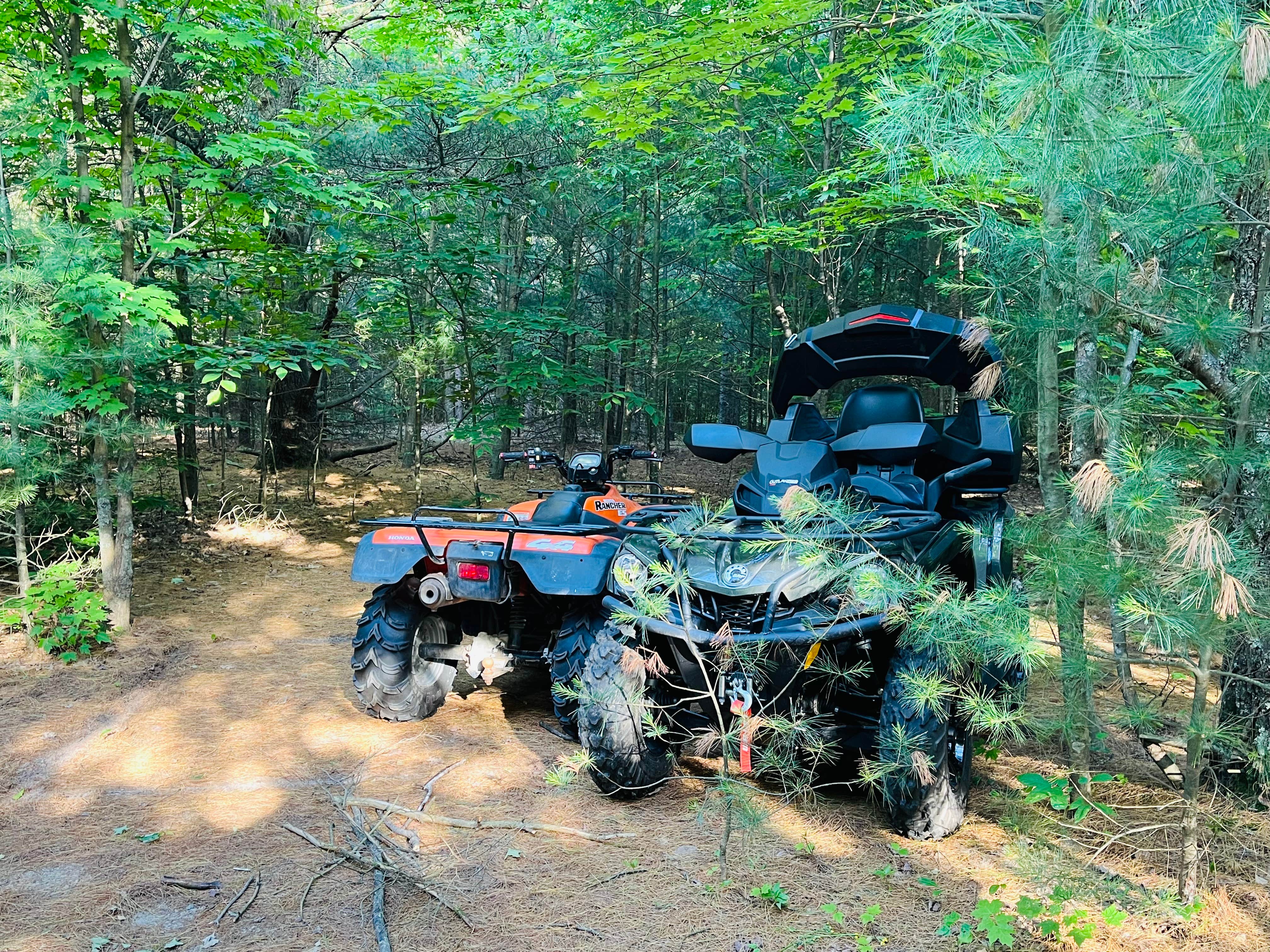 Camper-submitted photo at Empire Township Campground near Empire, MI