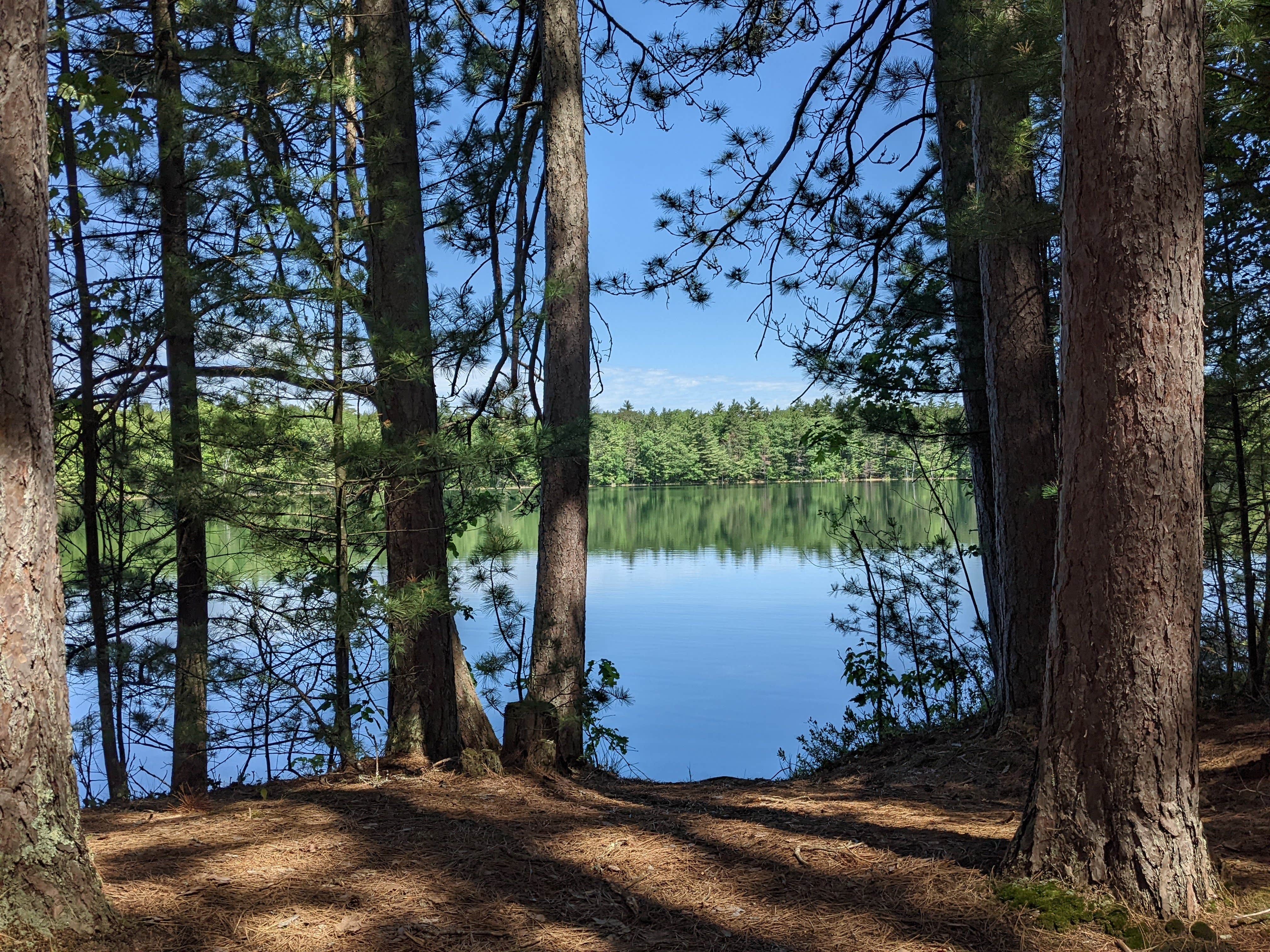 Camper submitted image from Firefly Lake — Northern Highland State Forest - 5