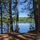 Review photo of Firefly Lake — Northern Highland State Forest by Mary , June 21, 2022