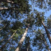 Review photo of Firefly Lake — Northern Highland State Forest by Mary , June 21, 2022