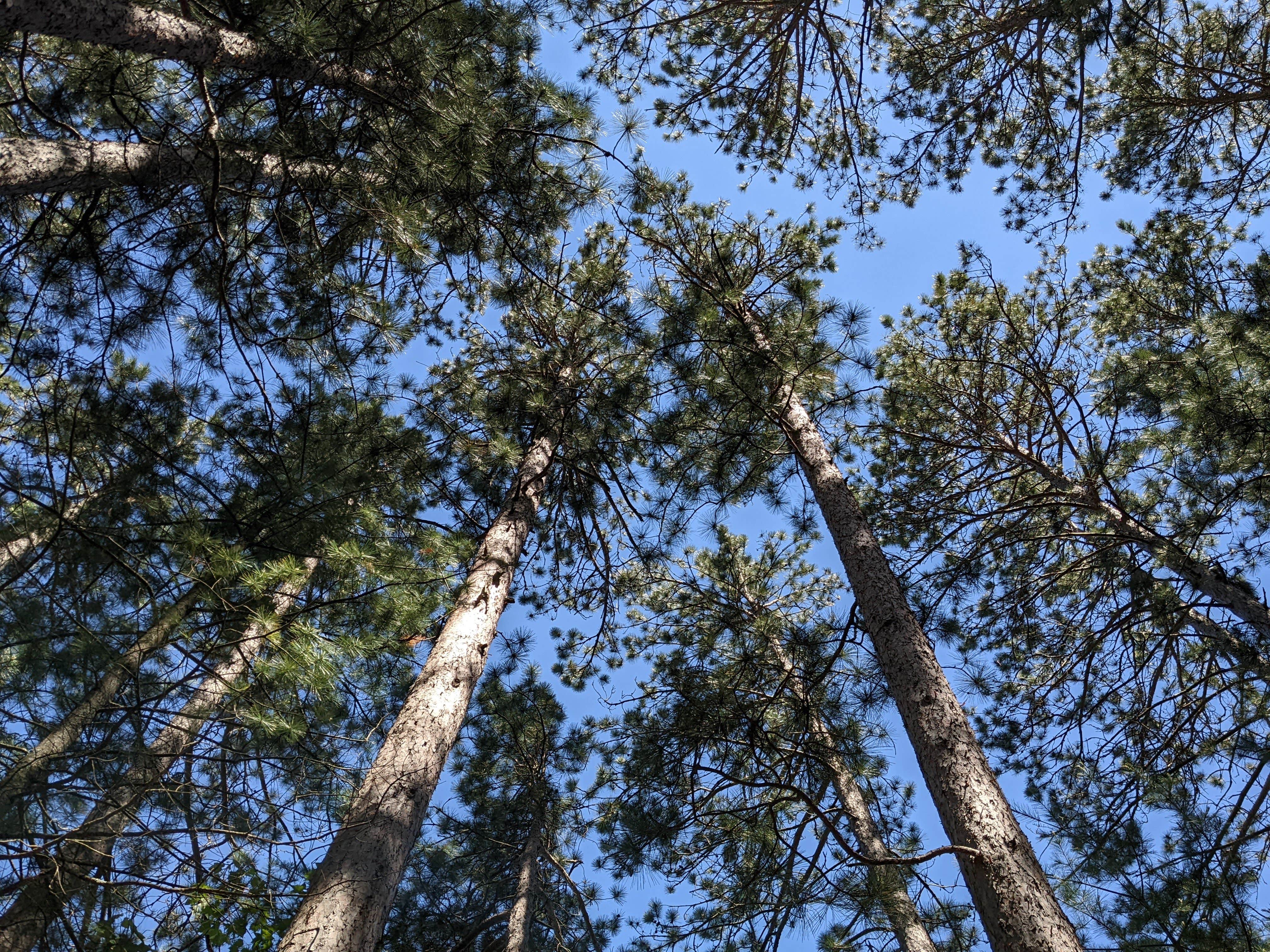 Camper submitted image from Firefly Lake — Northern Highland State Forest - 1