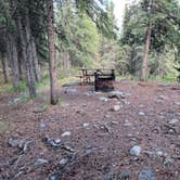 Review photo of Riley Creek Campground — Denali National Park by Katie B., June 21, 2022