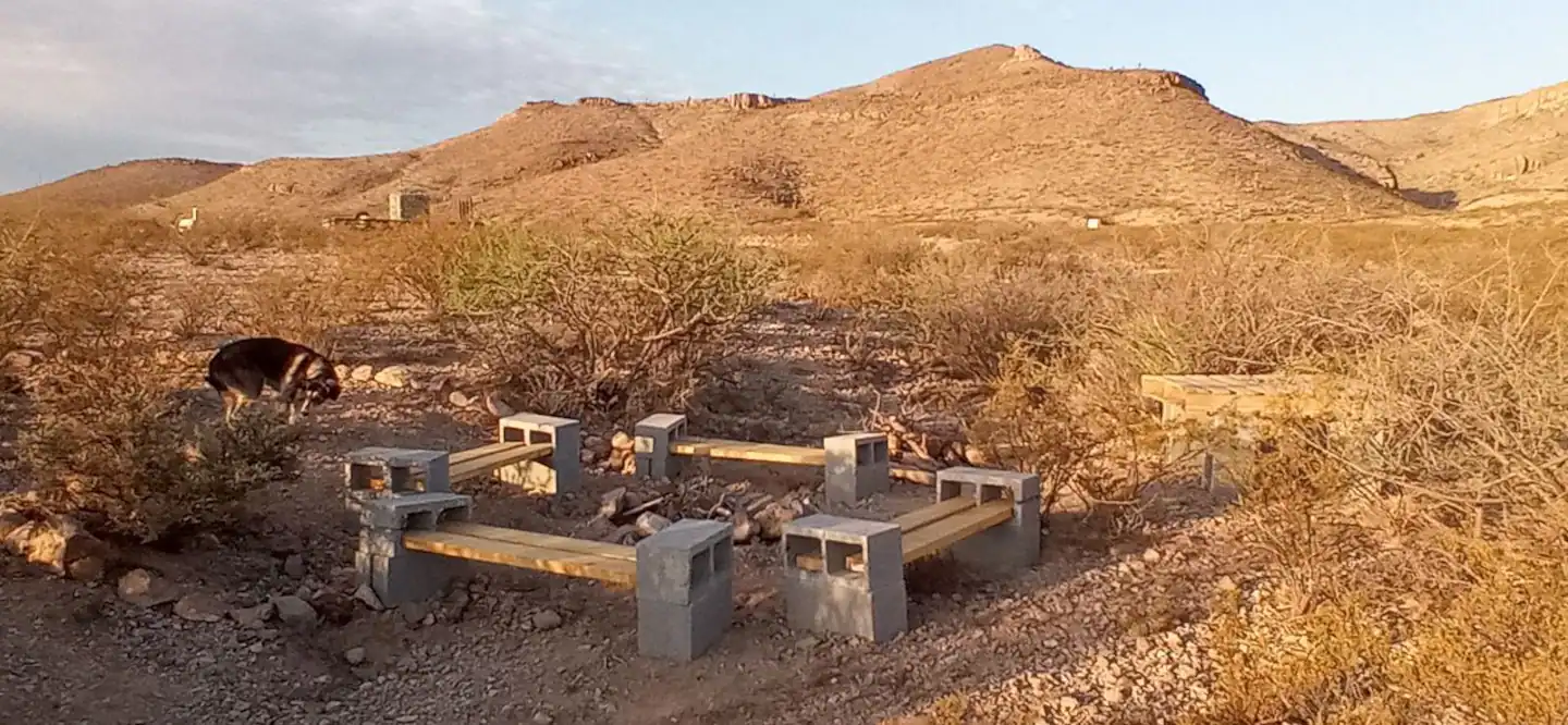 Desert Gardens Oasis at Lobo, Texas