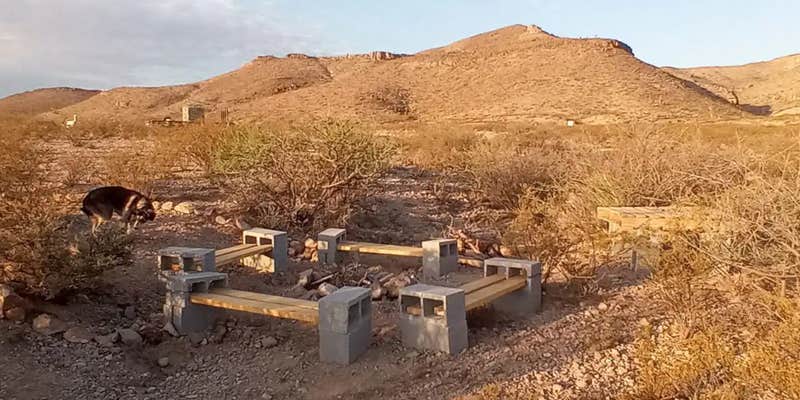 Camper submitted image from Desert Gardens Oasis at Lobo, Texas