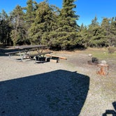 Review photo of Savage River Campground — Denali National Park by Katie B., June 21, 2022