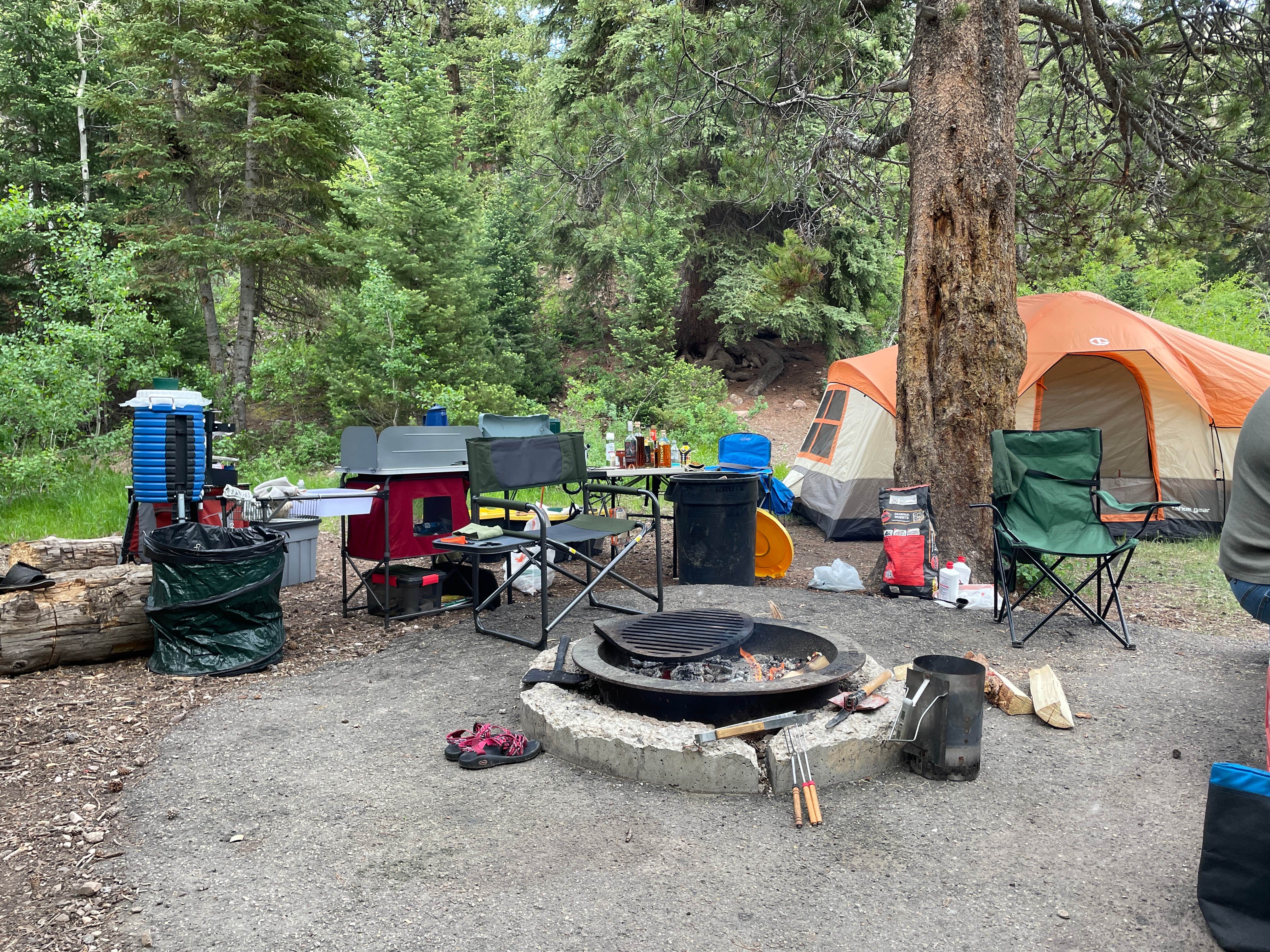 Smith-Morehouse Campground Camping | The Dyrt