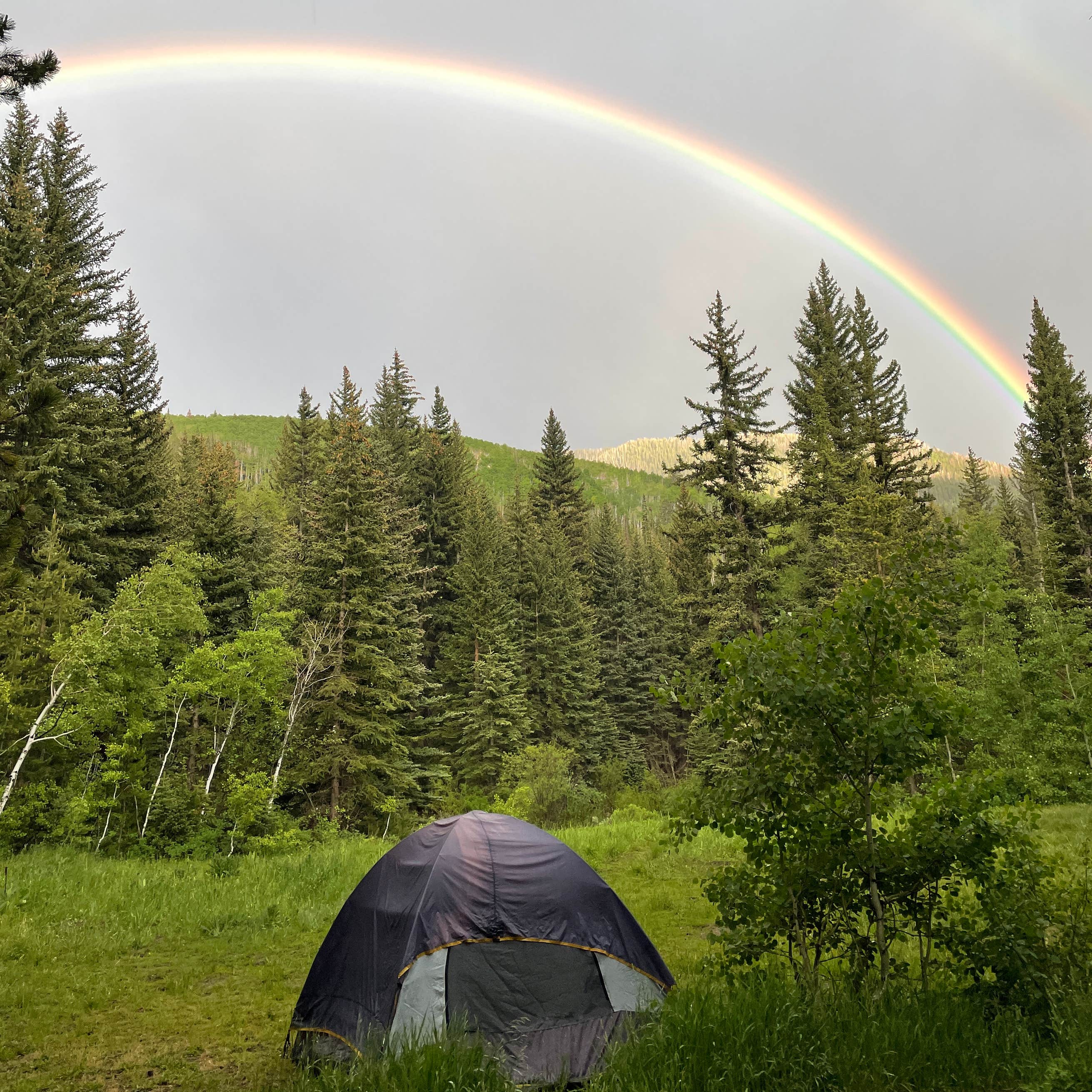 SmithMorehouse Campground Camping The Dyrt