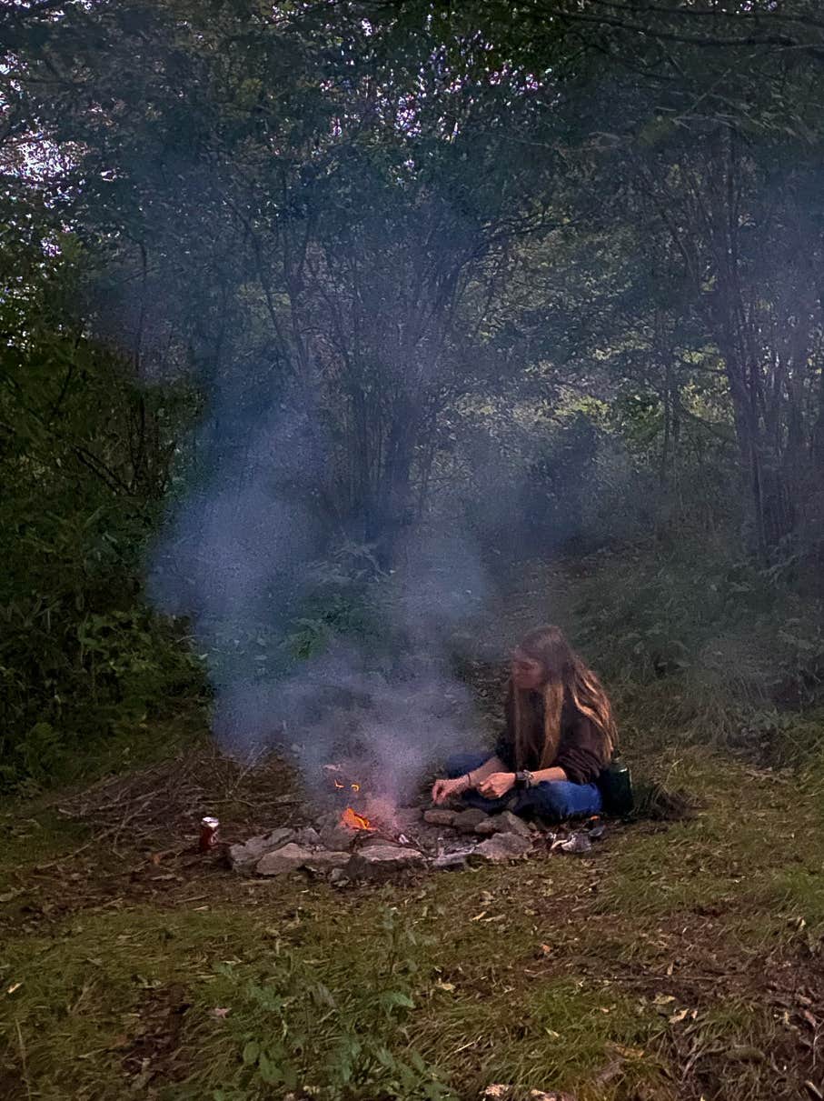 Claire K.'s photo at Blue Ridge Roadside Campsites near Tuckasegee, NC
