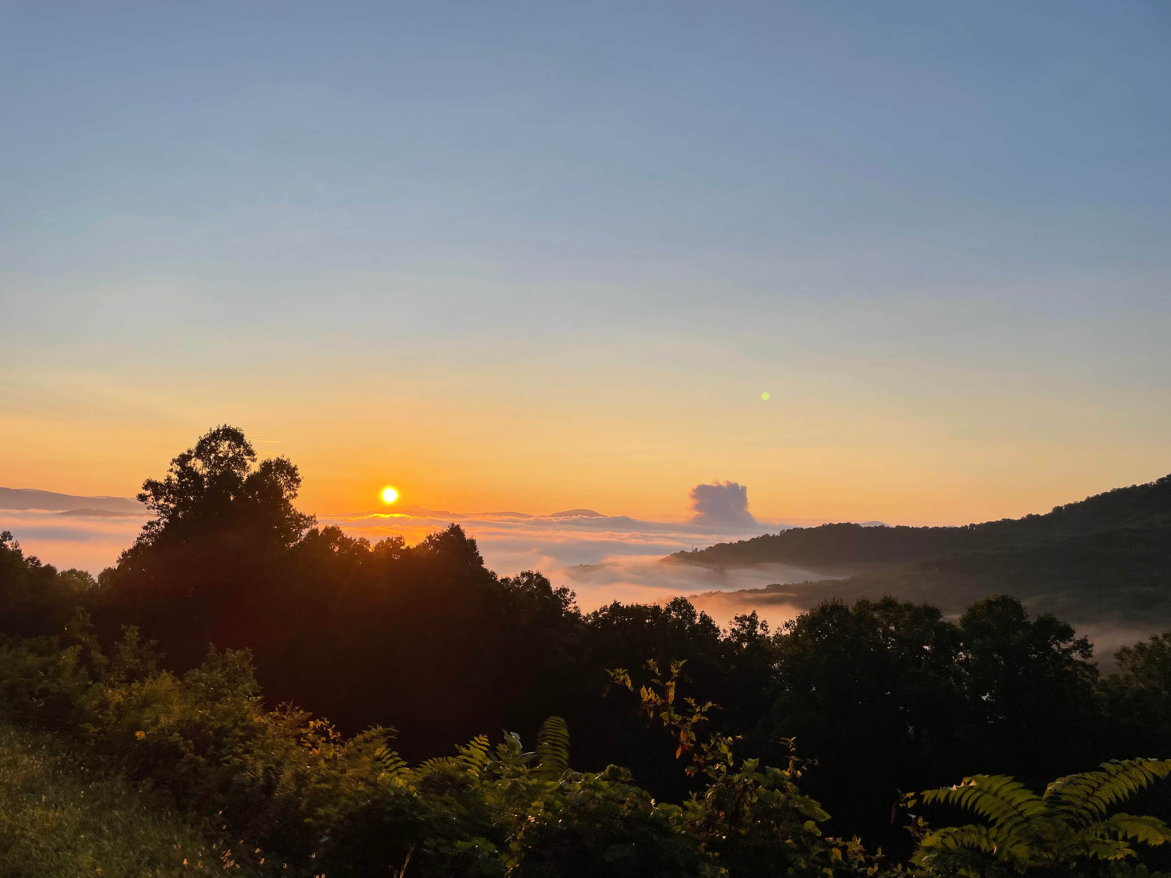 Claire K.'s photo of a dispersed camping area at Blue Ridge Roadside Campsites near Glendale, SC
