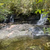 Review photo of Blue Ridge Roadside Campsites by Claire K., June 21, 2022