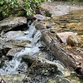 Review photo of Blue Ridge Roadside Campsites by Claire K., June 21, 2022