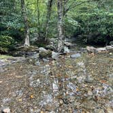 Review photo of Blue Ridge Roadside Campsites by Claire K., June 21, 2022