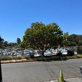 Review photo of Santa Cruz Harbor by Mary C., June 21, 2022