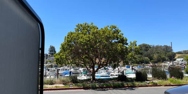 Camper submitted image from Santa Cruz Harbor