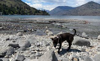 Deshawn B.'s photo of camping with pets at Lake Chelan State Park Campground near Carlton, WA