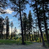 Review photo of Dragoon Creek Campground by Deshawn B., June 21, 2022