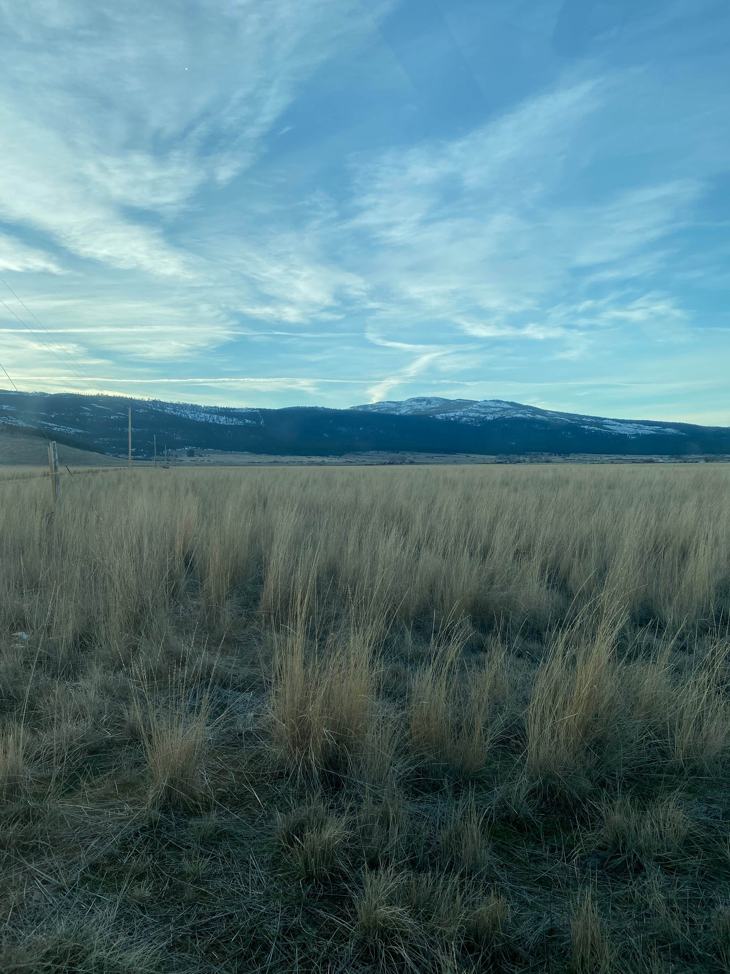Camping near Sophia Springs: Medicine Wheel Farms, Paradise, Montana