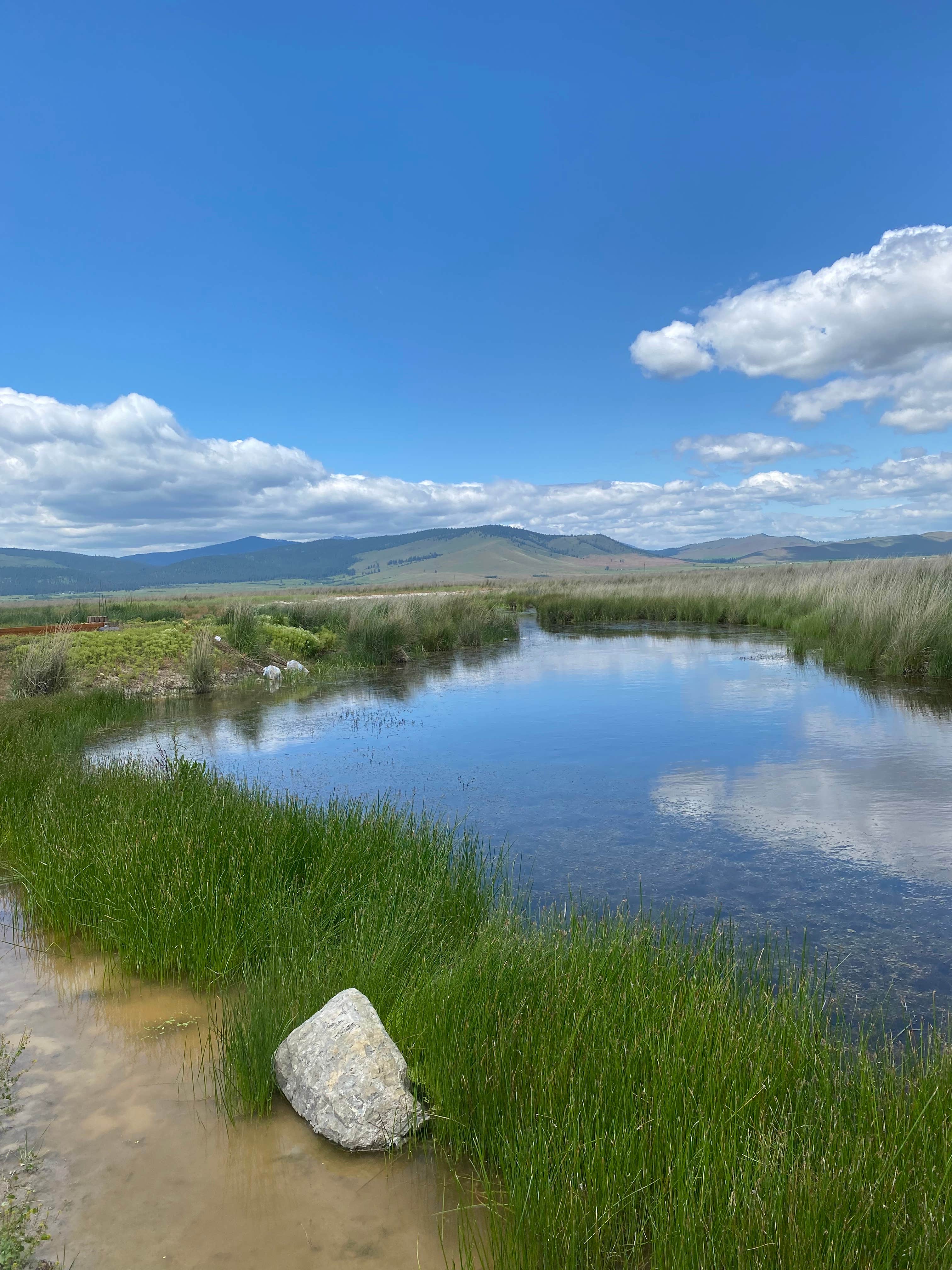 Camper-submitted photo at Medicine Wheel Farms near Plains, MT