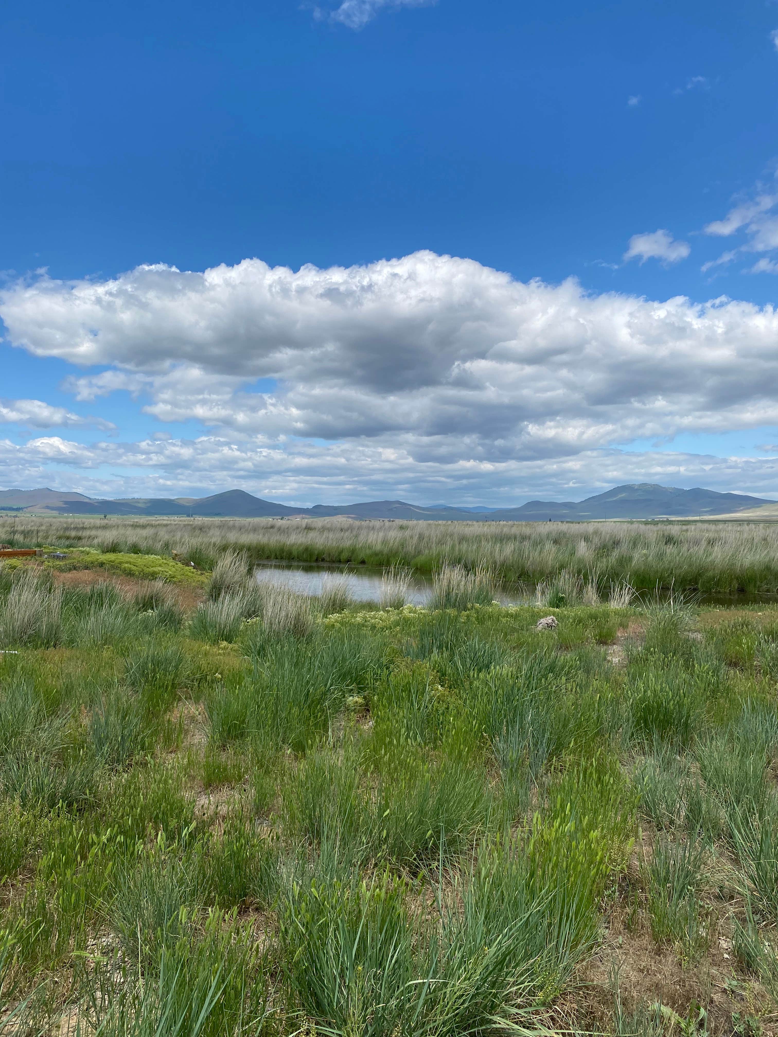 Camper-submitted photo at Medicine Wheel Farms near Plains, MT