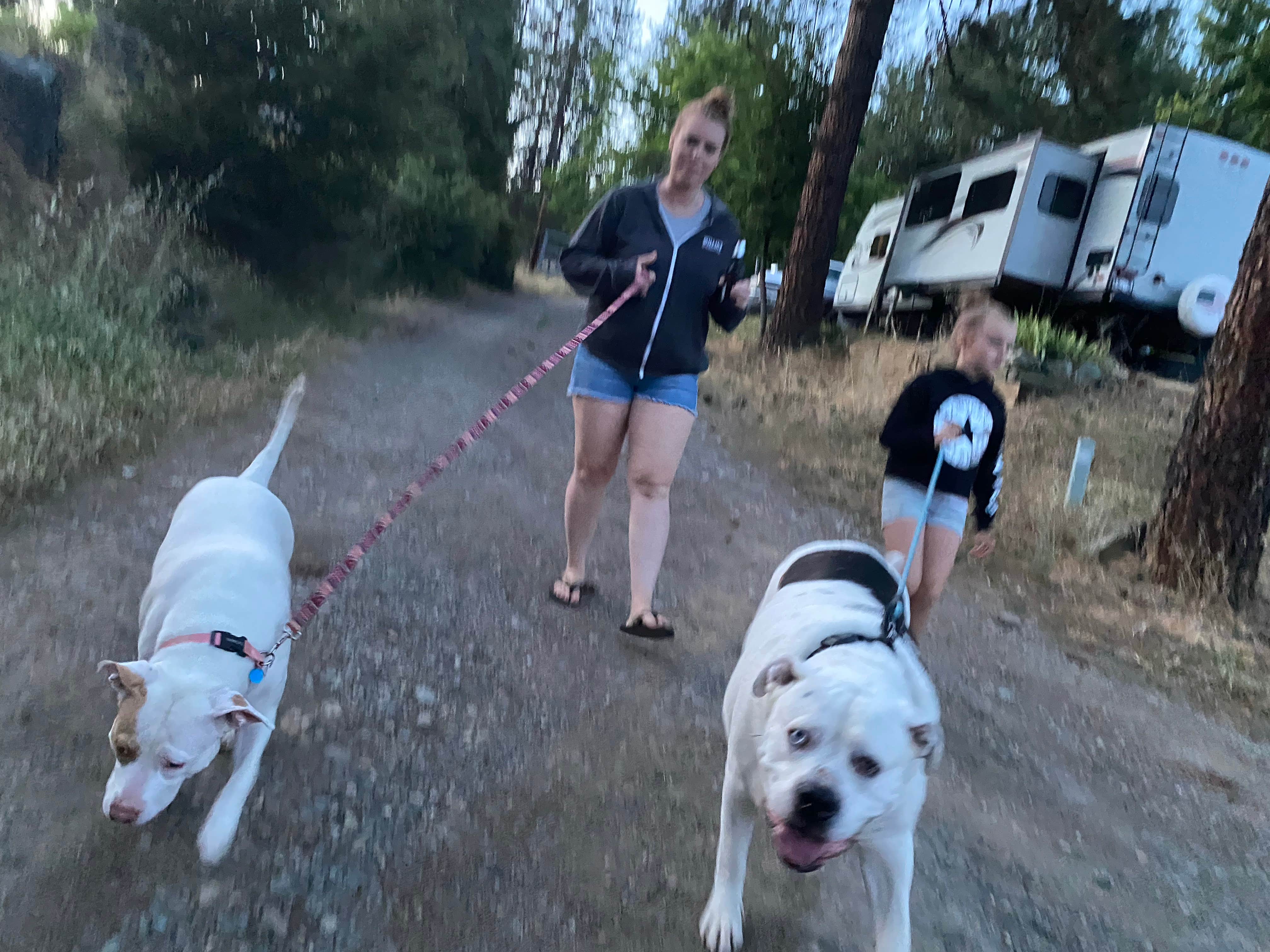 Jason D.'s photo of camping with pets at Old Lewiston Bridge RV Resort near Redding, CA