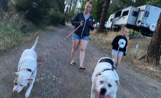 Jason D.'s photo of camping with pets at Old Lewiston Bridge RV Resort near Whiskeytown, CA