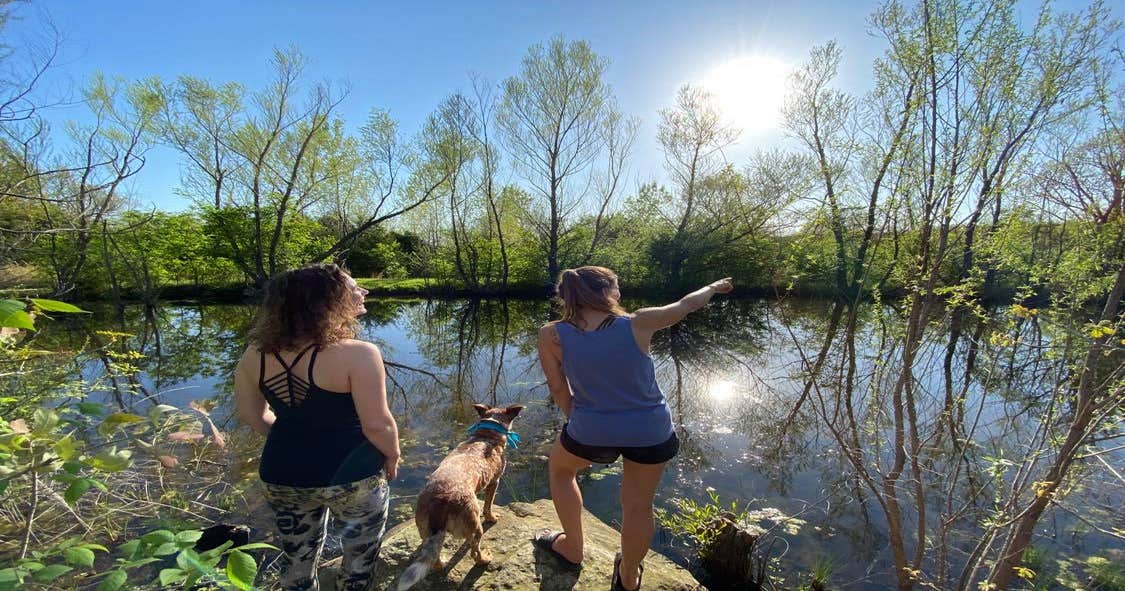 Three Ponds Community