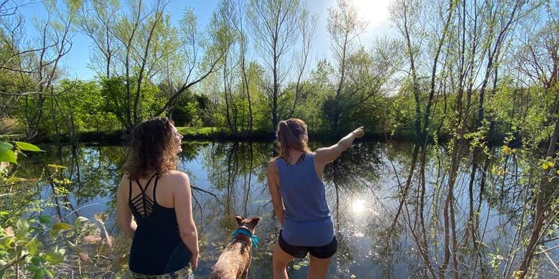 Camper submitted image from Three Ponds Community