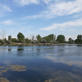 Campground lake