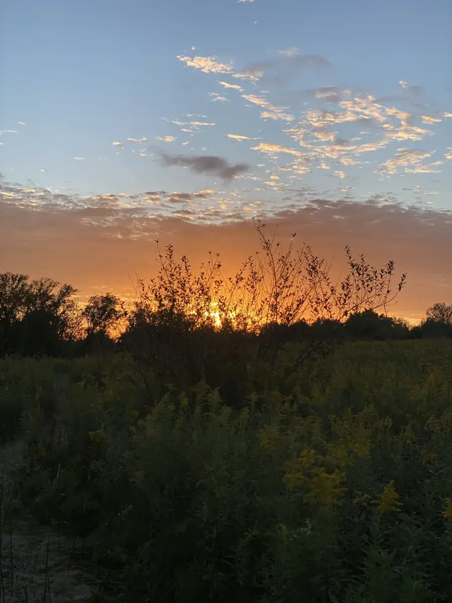 Camping near Four Star Campground: R&L Farm - Temporarily Closed, Marseilles, Illinois