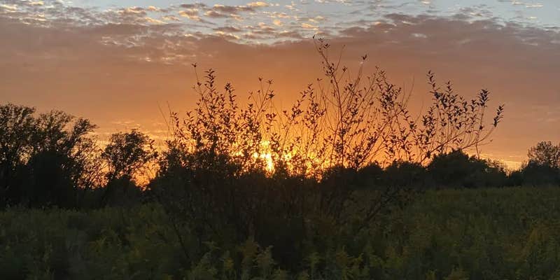 Camper submitted image from R&L Farm - Temporarily Closed