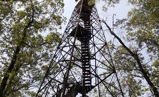 Cynthia K.'s photo of glamping accommodations at Tippecanoe River State Park Campground near New Buffalo, MI