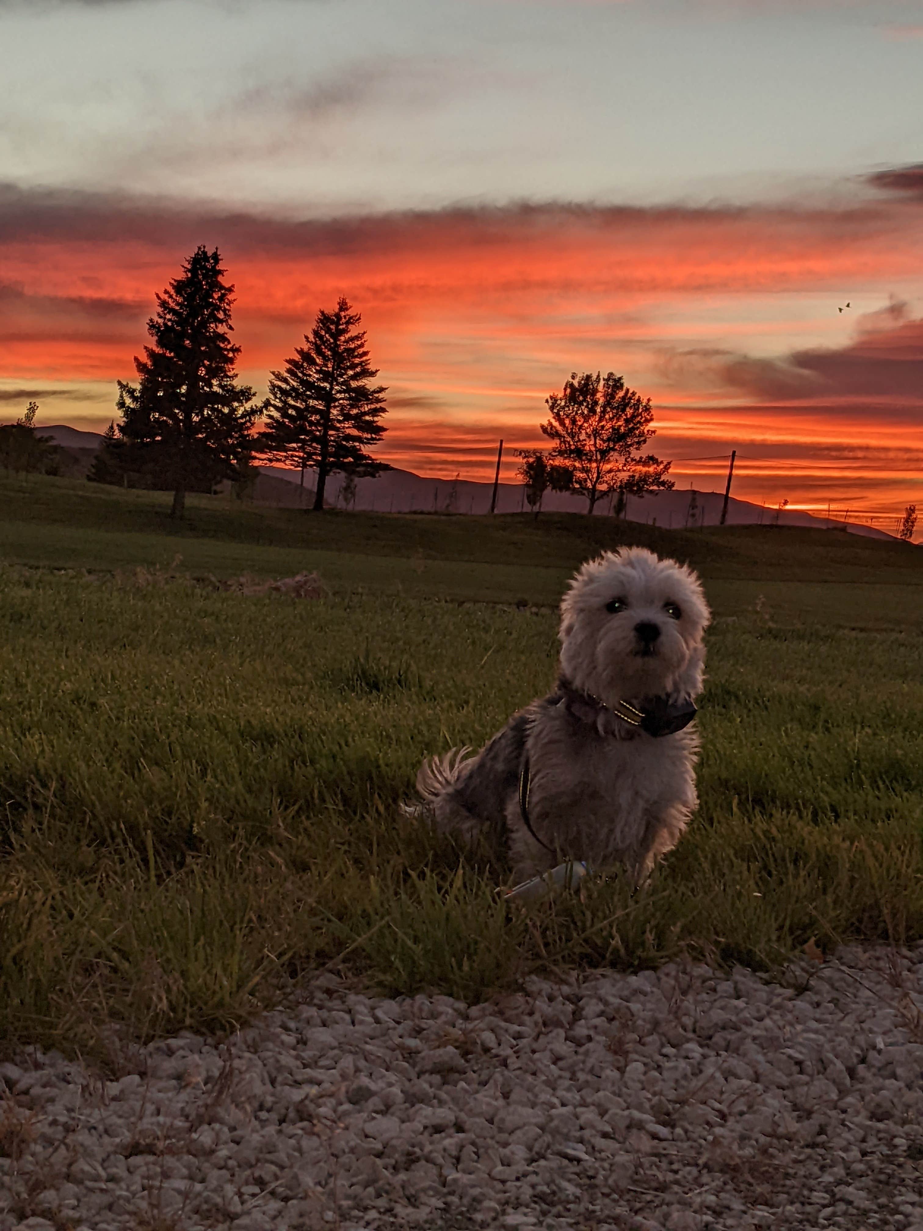 Gladstan Golf Course RV park Payson UT