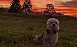 Kelly N.'s photo of camping with pets at Gladstan Golf Course & RV park near Spanish Fork, UT