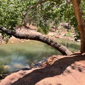 Review photo of Zion Canyon Campground by Christopher E., June 17, 2022