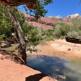 Review photo of Zion Canyon Campground by Christopher E., June 17, 2022