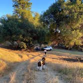 Review photo of Shooting Star Sanctuary and Retreat near Yosemite National Forest by Lauren P., June 22, 2022