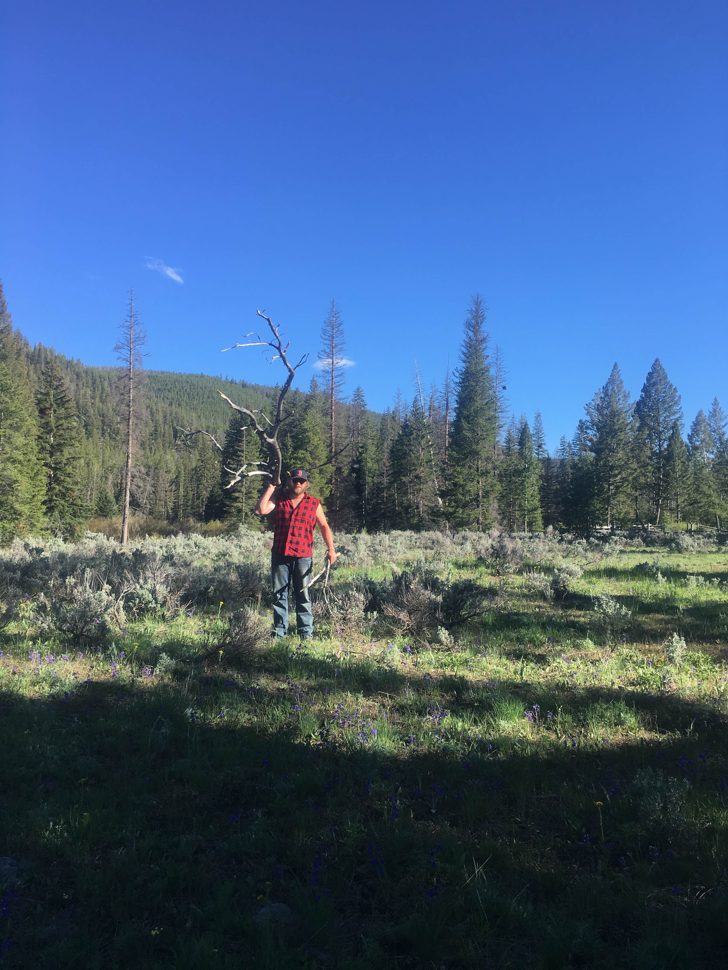Camper-submitted photo at Fourth of July Campground near Beaverhead-Deerlodge National Forest