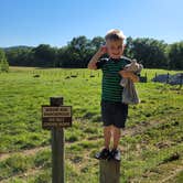 Review photo of Big Bone Lick State Park Campground by Greg S., June 22, 2022