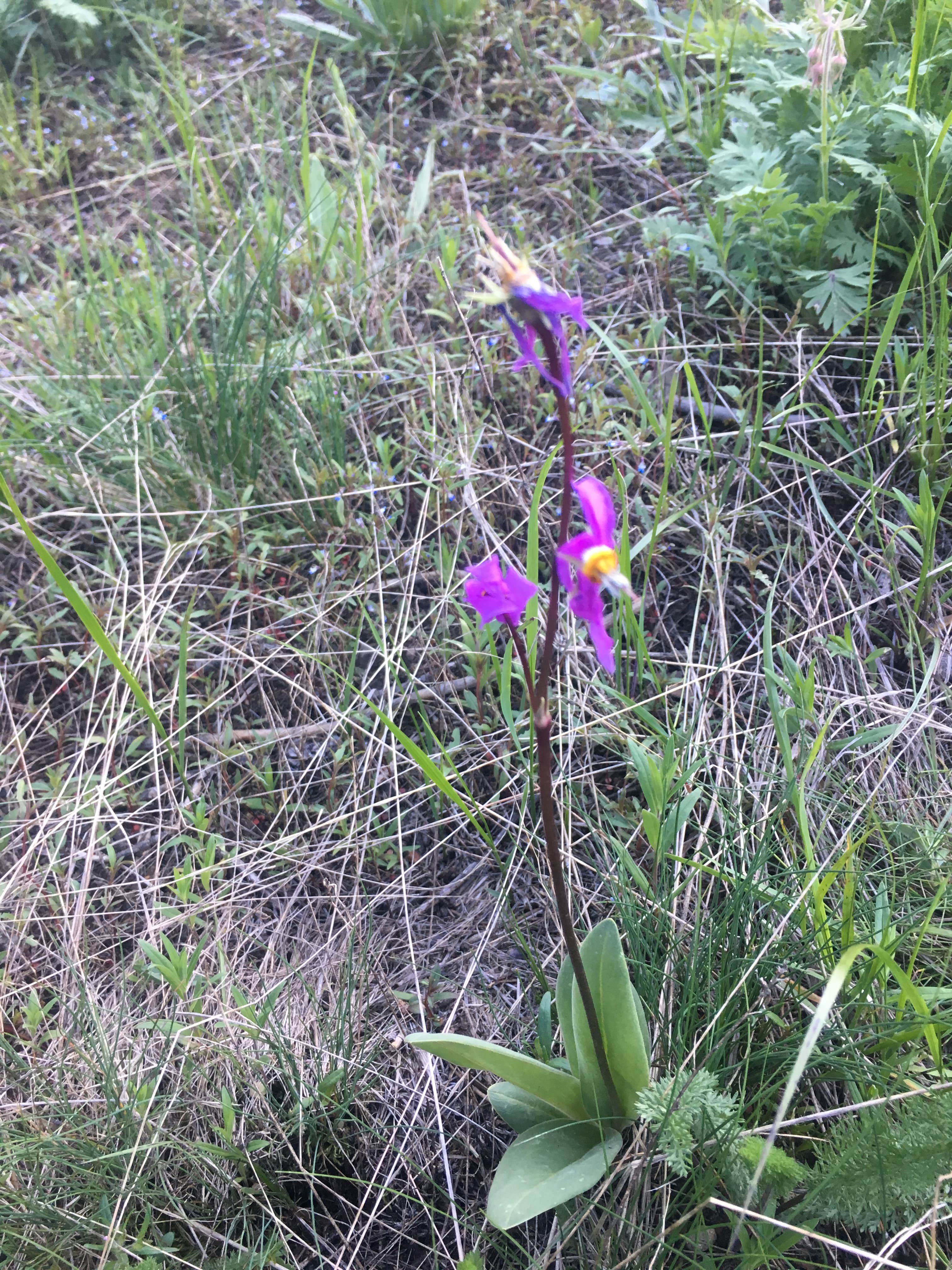 Camper-submitted photo at Fourth of July Campground near Beaverhead-Deerlodge National Forest