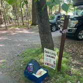 Review photo of Brunet Island State Park Campground by kassondra T., June 22, 2022