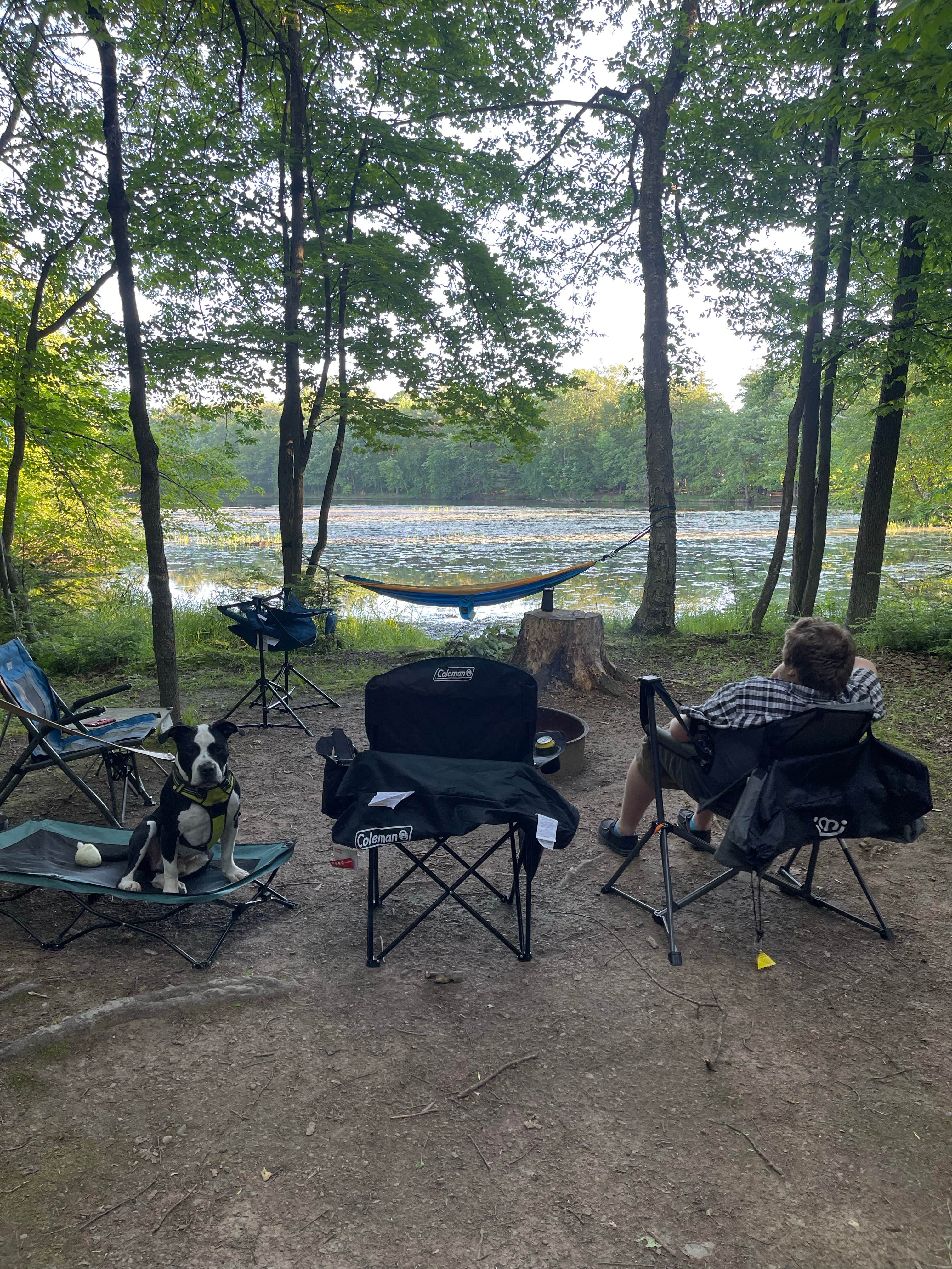 kassondra T.'s photo at Brunet Island State Park Campground near Rice Lake, WI