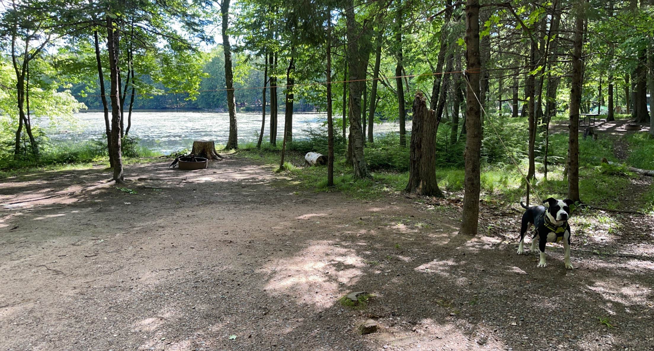 kassondra T.'s photo of camping with pets at Brunet Island State Park Campground near Rice Lake, WI