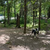 Review photo of Brunet Island State Park Campground by kassondra T., June 22, 2022