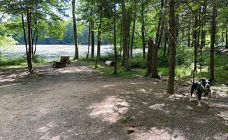kassondra T.'s photo of camping with pets at Brunet Island State Park Campground in Wisconsin