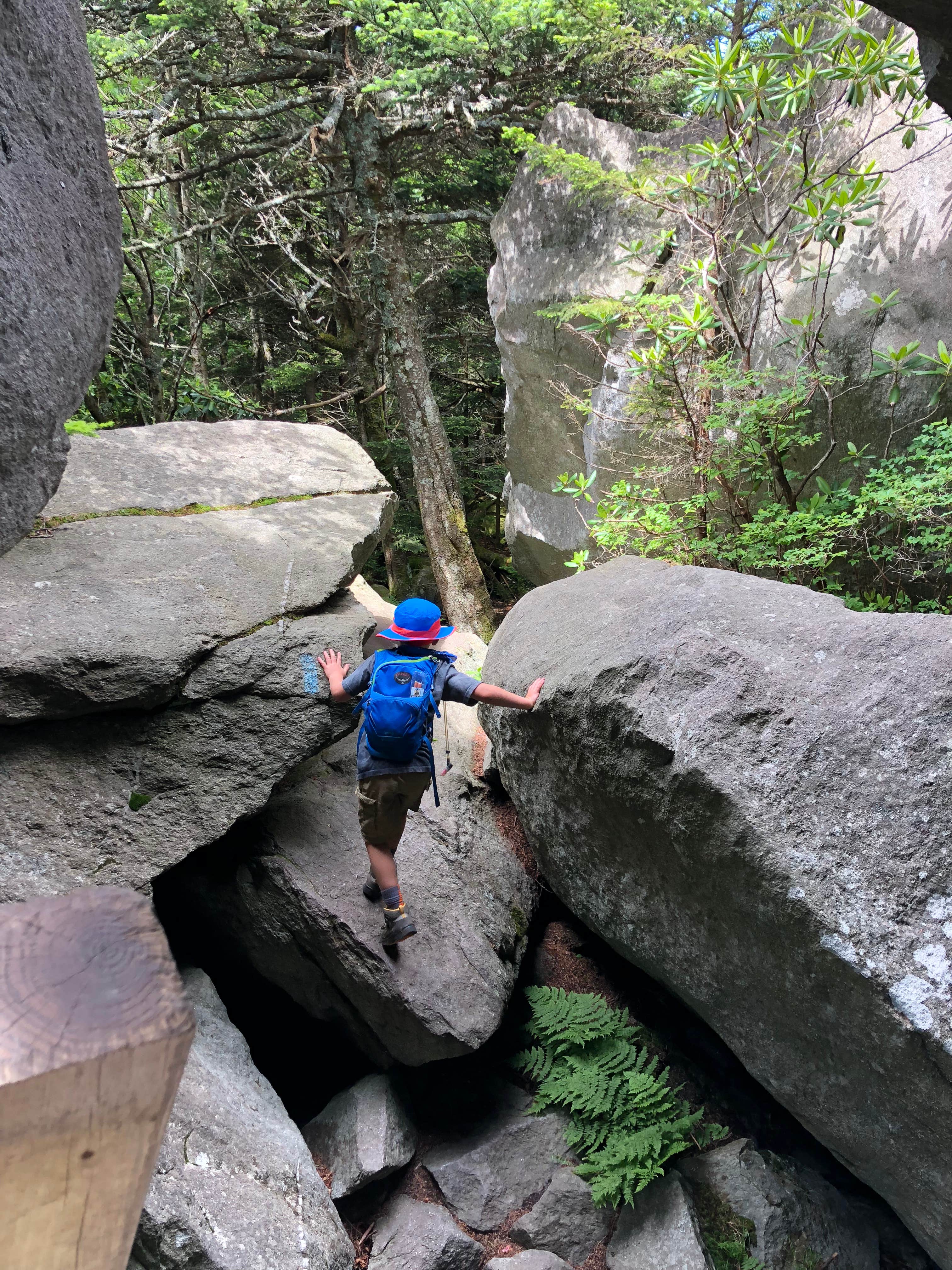 Camper submitted image from Grandfather Mountain Campground - 5